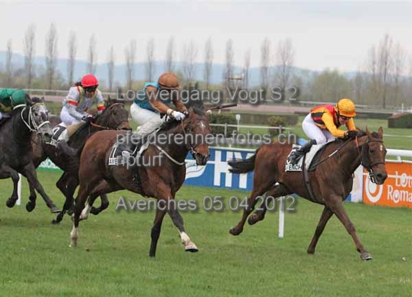 Loewengang Vogt S 2 prot